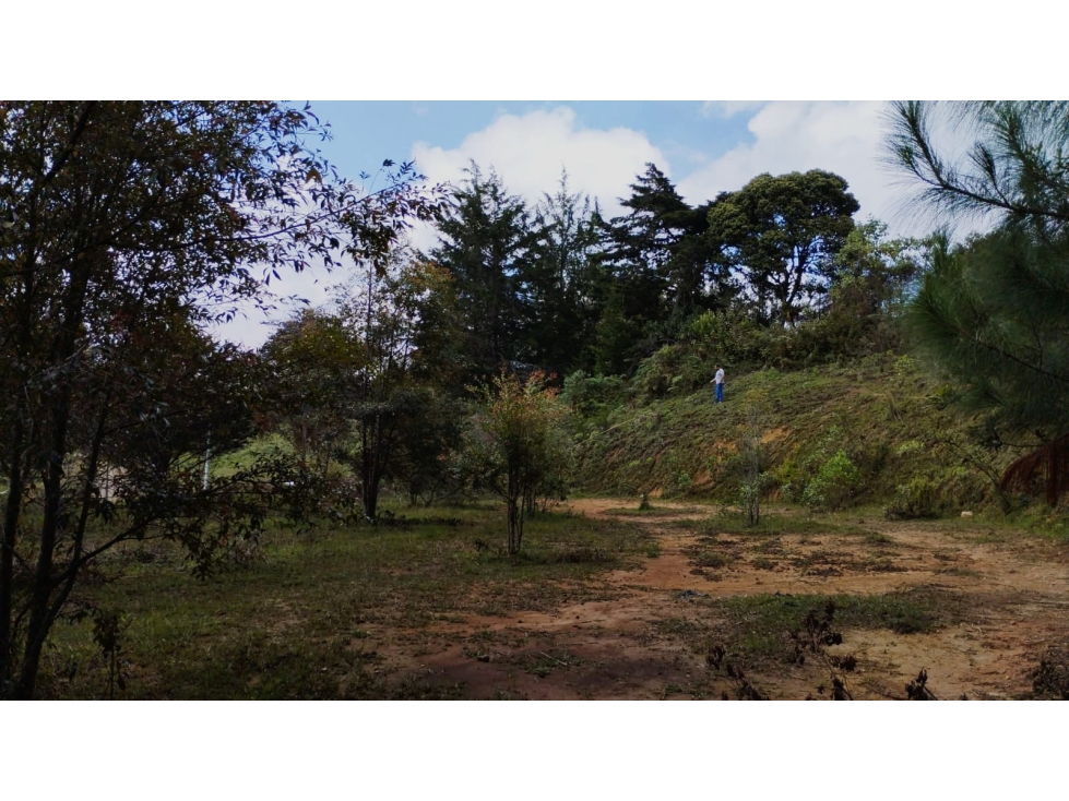 VENTA LOTE RURAL 6.244M2 EXCELENTE UBICACIÓN EL RETIRO ANTIOQUIA