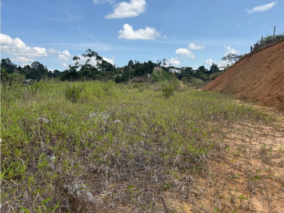 VENTA FINCA 6.600M2 EXCELENTE UBICACIÓN RIONEGRO ANT — foto 5