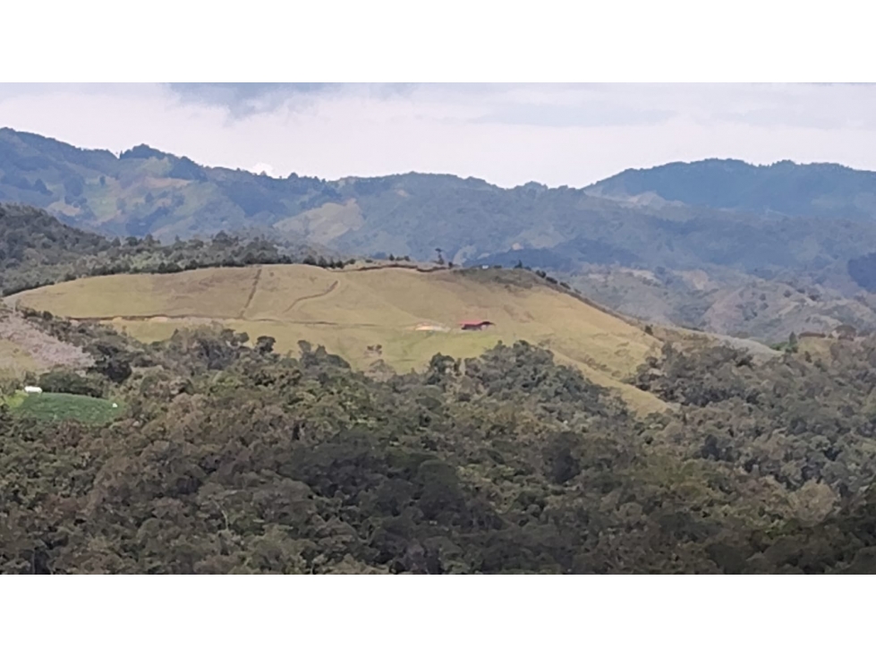VENTA FINCA MULTIPROPOSITO 16 Hc, CON DOS CASAS, ABEJORRAL ANT. - 1