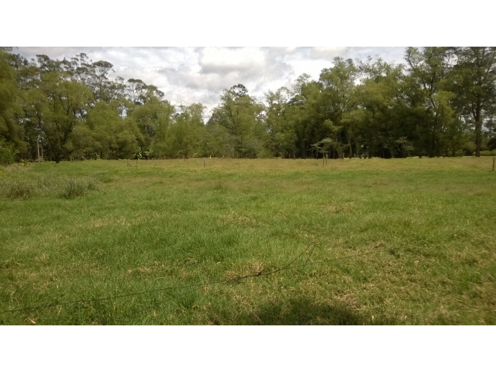 VENTA LOTE N°5 ÁREA 27.105 M2 LLANO GRANDE RIONEGRO ANT — foto 5