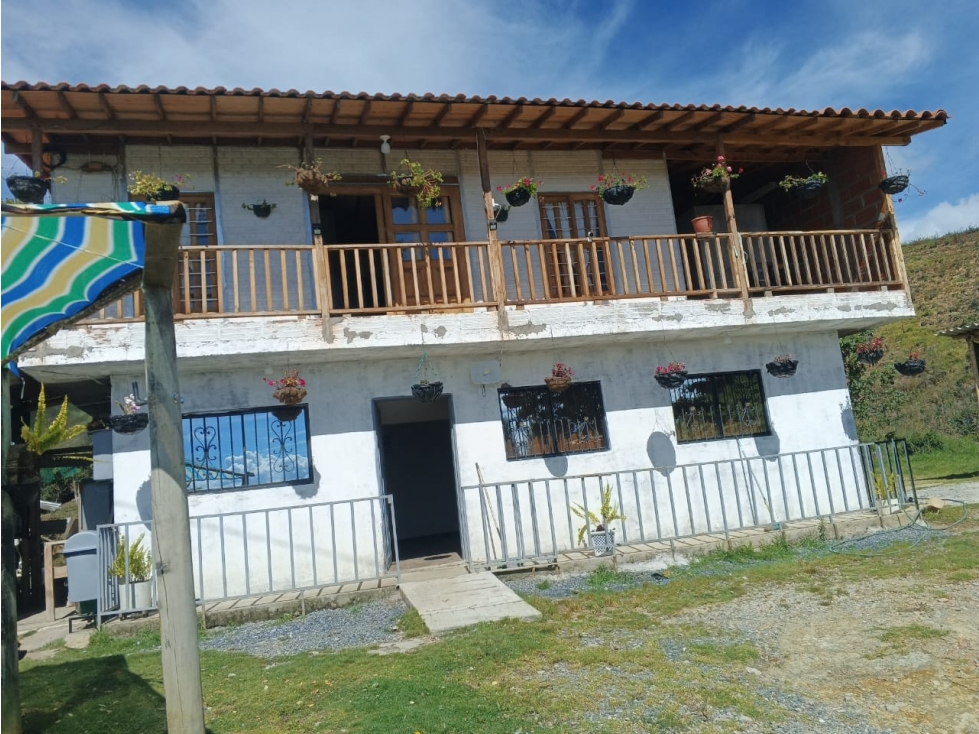 VENTA FINCA PRODUCTIVA CON CASA 5.971M2 EL CARMEN DE VIBORAL — foto 5