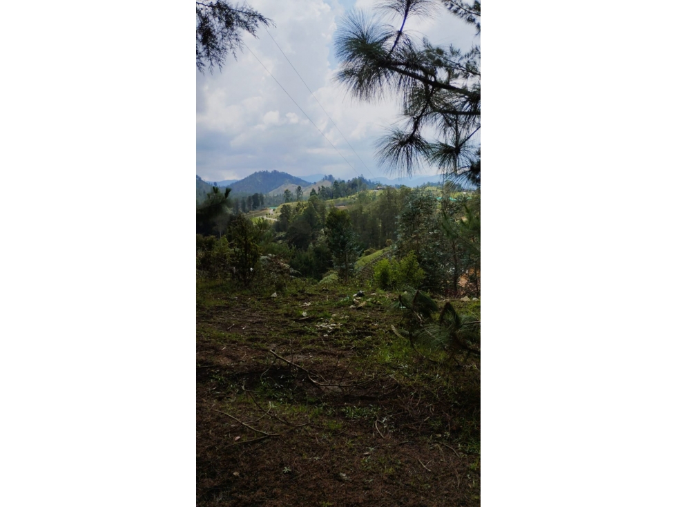 VENTA LOTE RURAL 6.244M2 EXCELENTE UBICACIÓN EL RETIRO ANTIOQUIA — foto 2