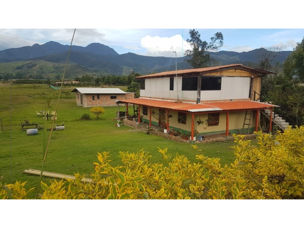 VENTA FINCA 1.035 M2 CON CASA Y CABAÑA EXCELENTE UBICACIÓN URRAO ANT - 1