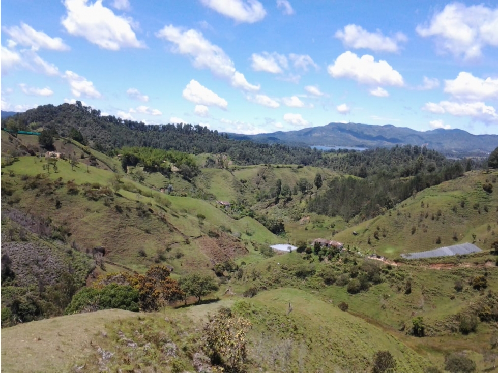 VENTA DE LOTE CAMPESTRE 6, EL PEÑOL-ANTIOQUIA - 4