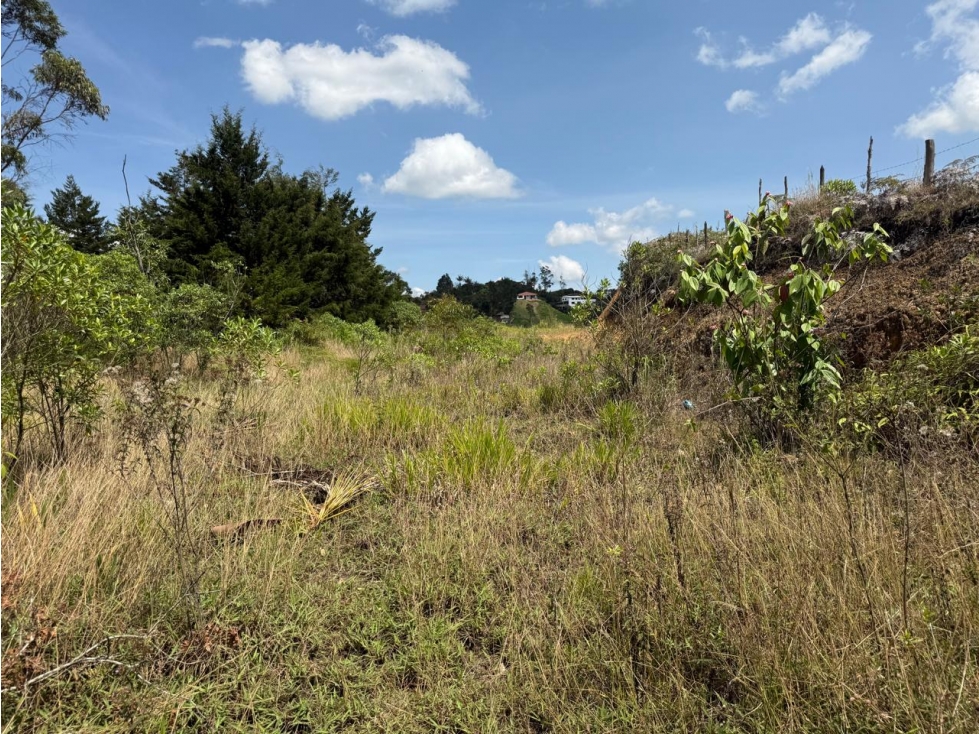 VENTA FINCA 6.600M2 EXCELENTE UBICACIÓN RIONEGRO ANT — foto 4