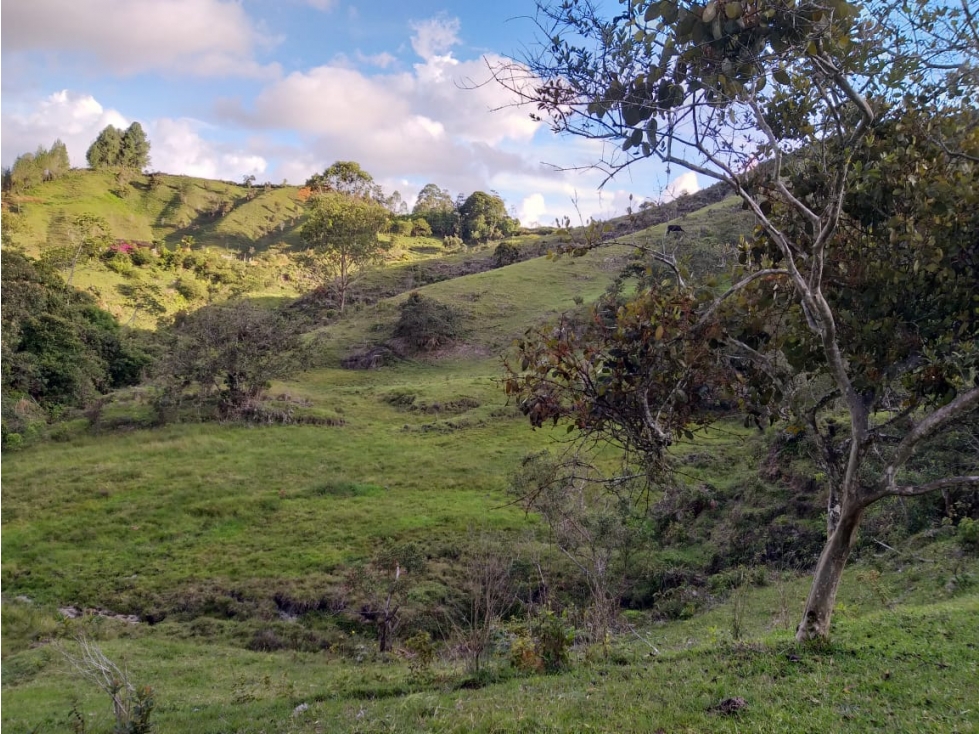 VENTA DE LOTE CAMPESTRE 6, EL PEÑOL-ANTIOQUIA - 2