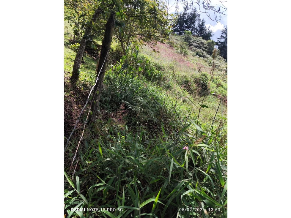 VENTA LOTE 3.530 M2 EXCELENTE UBICACIÓN RIONEGRO ANT