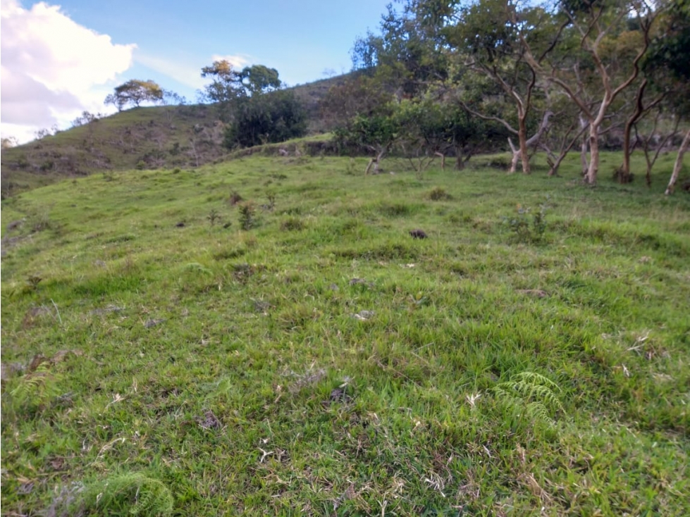 VENTA DE LOTE CAMPESTRE 6, EL PEÑOL-ANTIOQUIA - 3