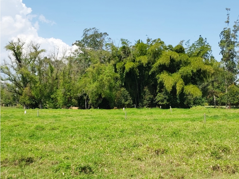 VENTA LOTE N°4 EXCELENTE UBICACIÓN 9.457M2 LLANO GRANDE RIONEGRO ANT — foto 4