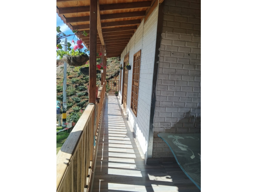 VENTA FINCA PRODUCTIVA CON CASA 5.971M2 EL CARMEN DE VIBORAL — foto 6