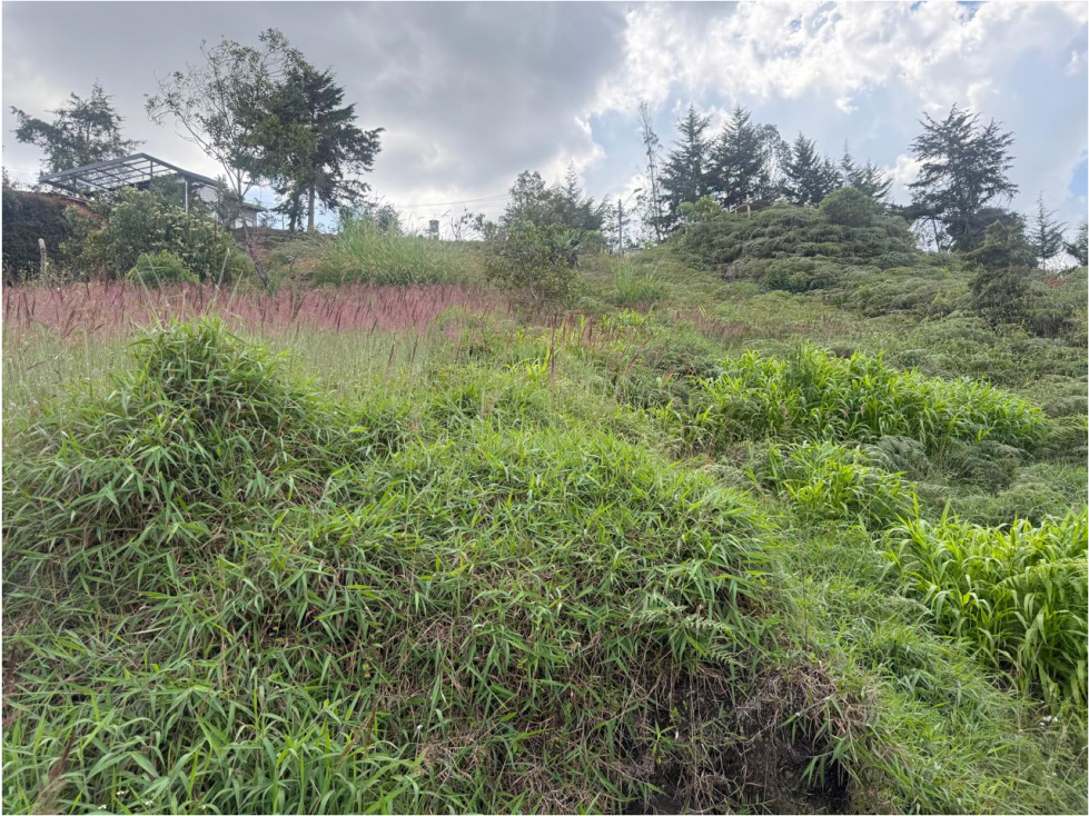 VENTA FINCA 6.600M2 EXCELENTE UBICACIÓN RIONEGRO ANT — foto 6