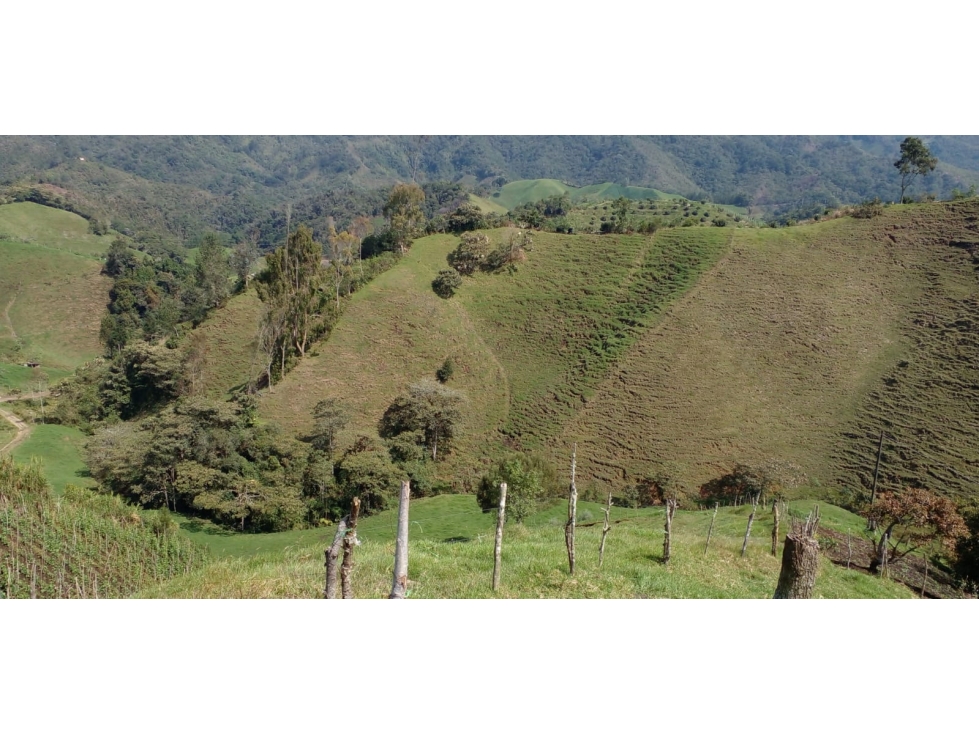 VENTA FINCA MULTIPROPOSITO 16 Hc CON CASA, ABEJORRAL - ANT - 5