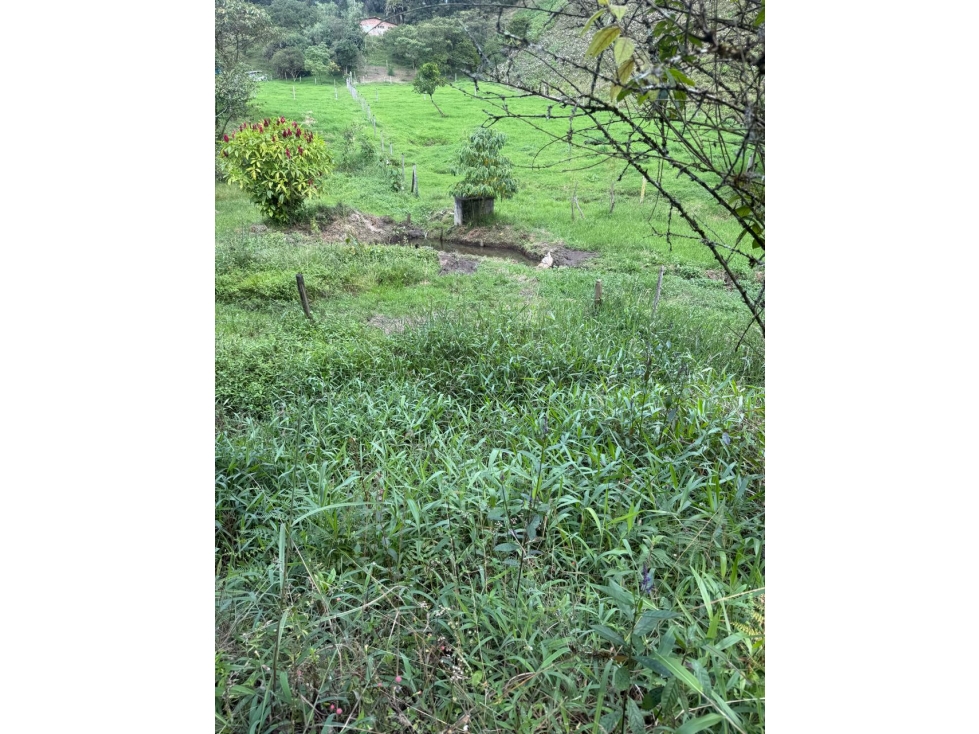 VENTA FINCA 6.600M2 EXCELENTE UBICACIÓN RIONEGRO ANT — foto 2