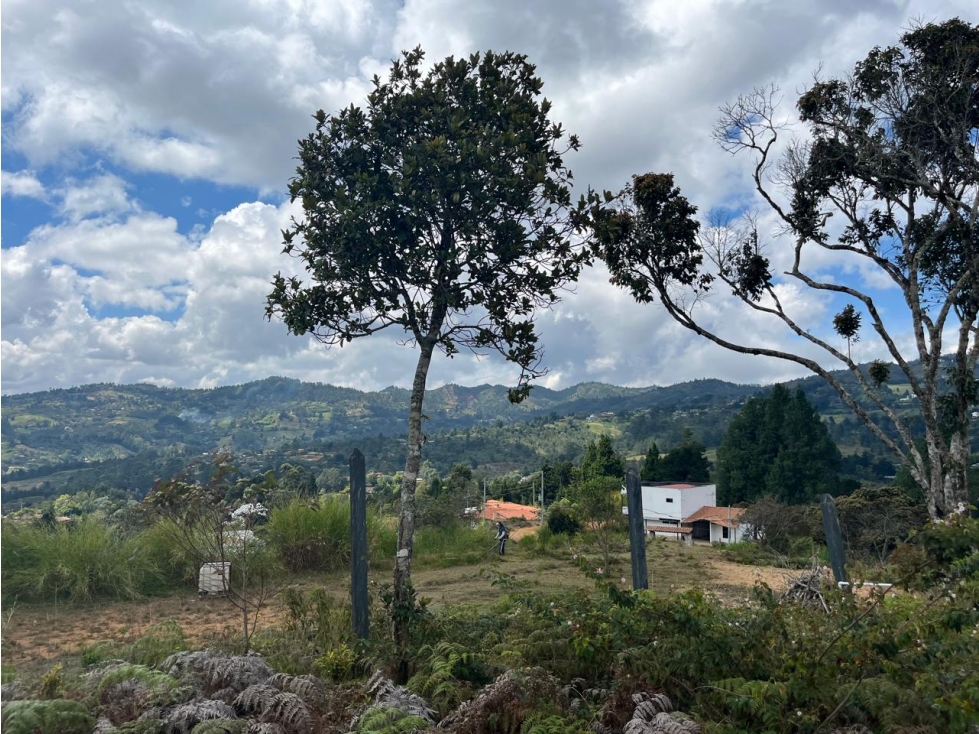 VENTA LOTE 2.042,05 M2 ALTO DE LA VIRGEN GUARNE ANTIOQUIA - 6