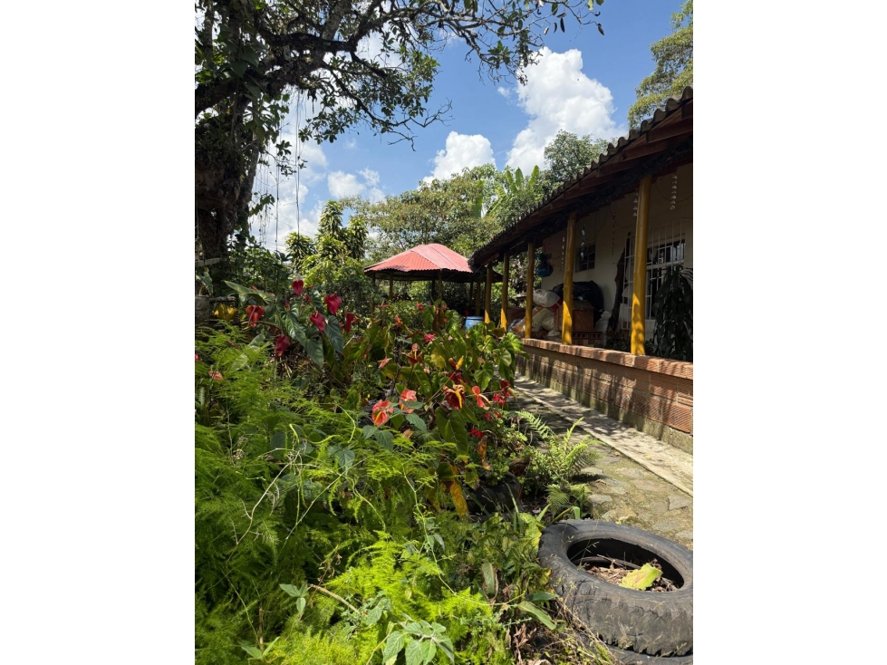 VENTA FINCA 6.600M2 EXCELENTE UBICACIÓN RIONEGRO ANT