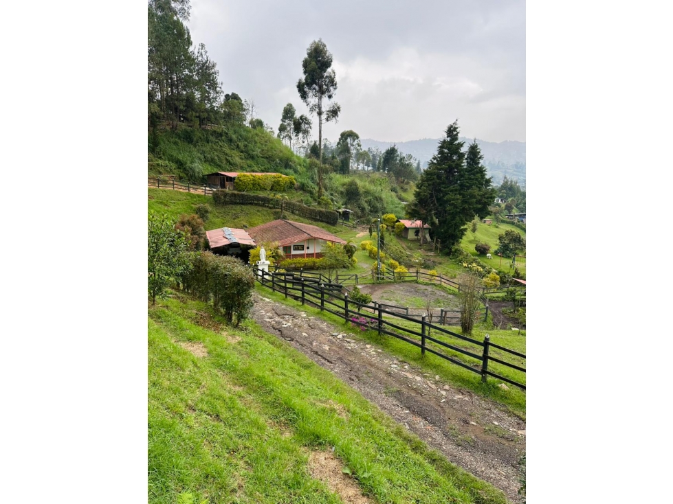 Se VENDE CASA CAMPESTRE en GUARNE, ANTIOQUIA Vereda LOS MOLINOS. — foto 4