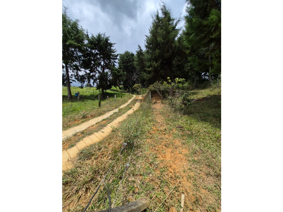 SE VENDE LOTE SAN CRISTOBAL, sector VIA ANTIGUA SANTA FE DE ANTIOQUIA