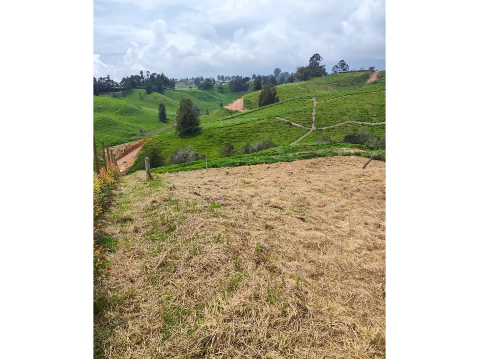 Se VENDE LOTE en el Kilometro 17 Vía SAN PEDRO DE LOS MILAGROS. — foto 4