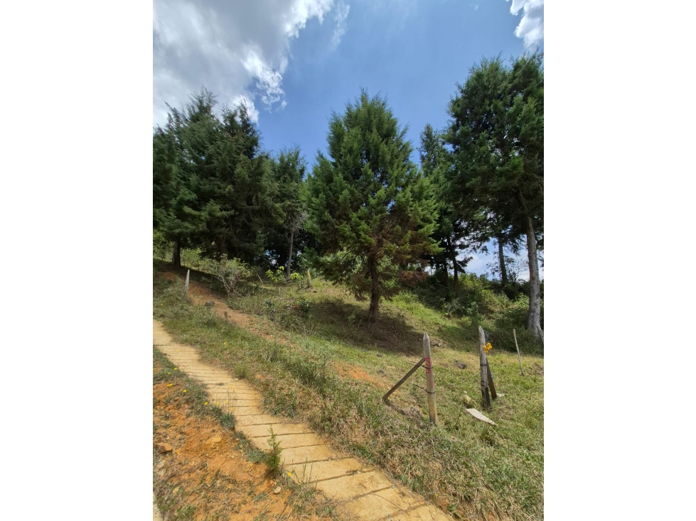 SE VENDE LOTE SAN CRISTOBAL, sector VIA ANTIGUA SANTA FE DE ANTIOQUIA — foto 2