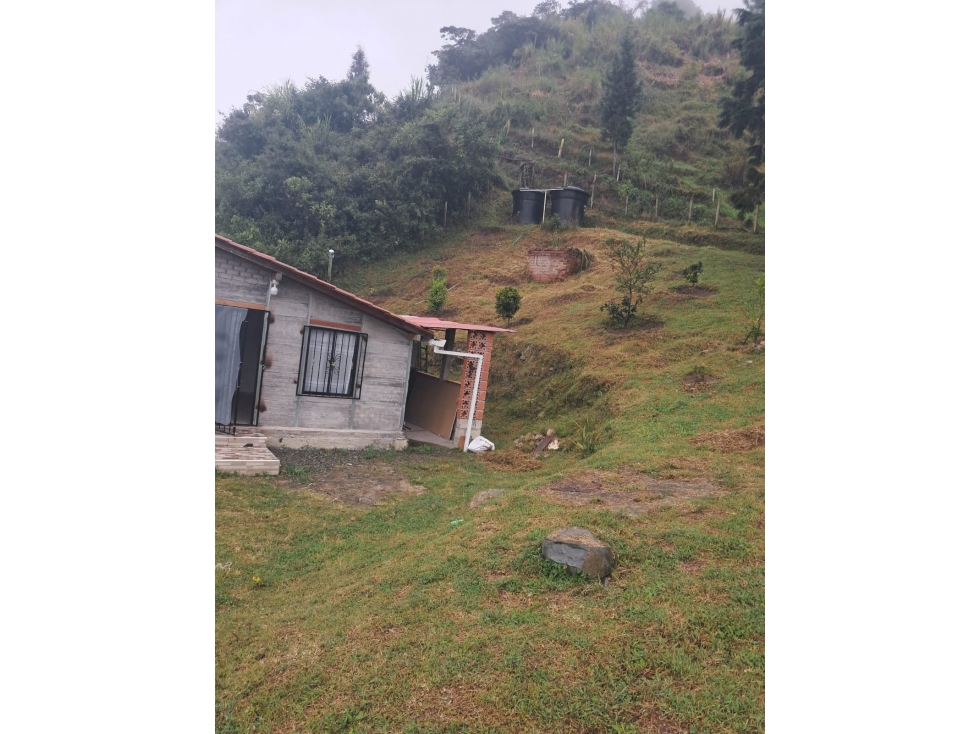 SE VENDE LOTE CON CASA EN SAN CRISTOBAL sector, VEREDA EL YARUMO — foto 4