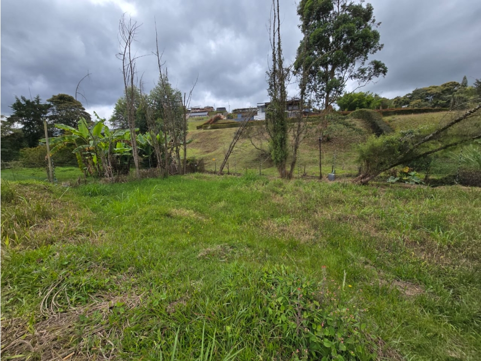 SE VENDE LOTE EN LA CEJA, sector VIA SAN ANTONIO — foto 3