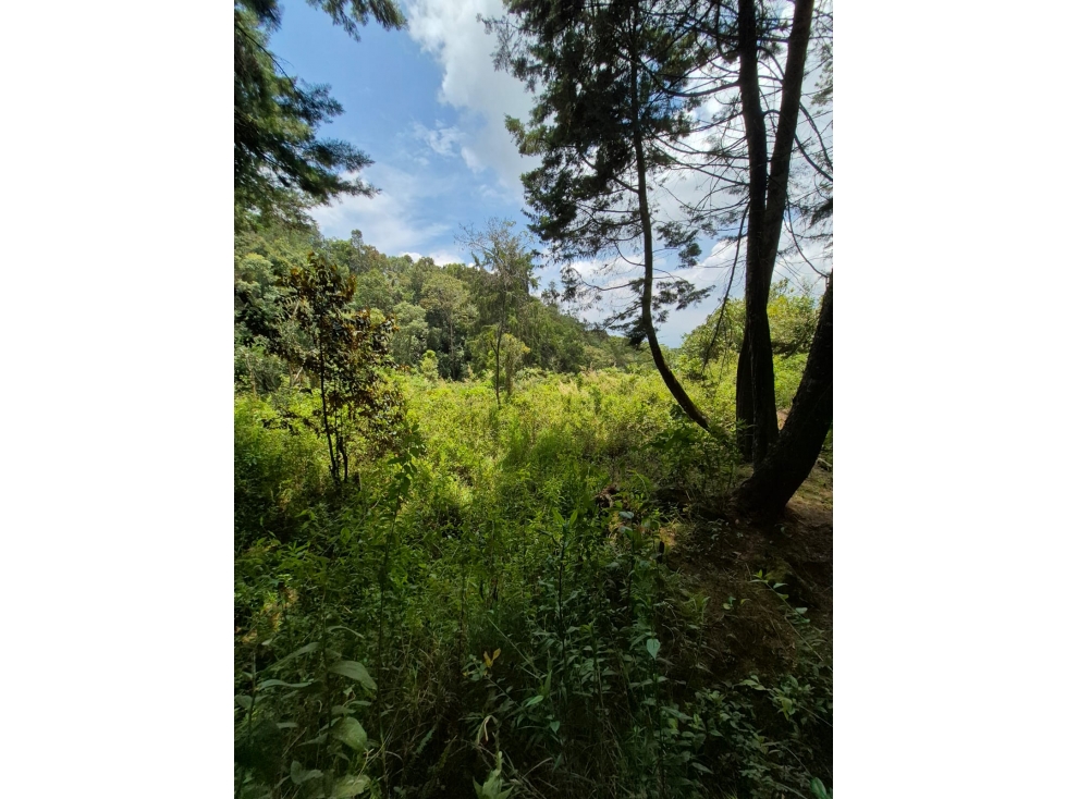 SE VENDE LOTE SAN CRISTOBAL, sector VIA ANTIGUA SANTA FE DE ANTIOQUIA — foto 3