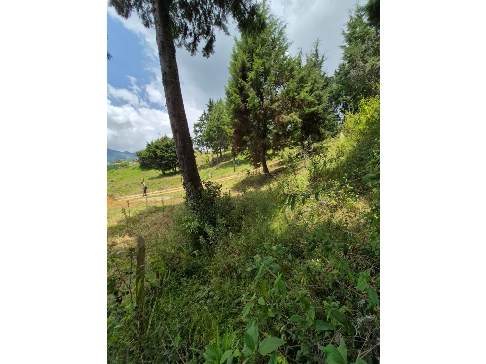 SE VENDE LOTE SAN CRISTOBAL, sector VIA ANTIGUA SANTA FE DE ANTIOQUIA — foto 4