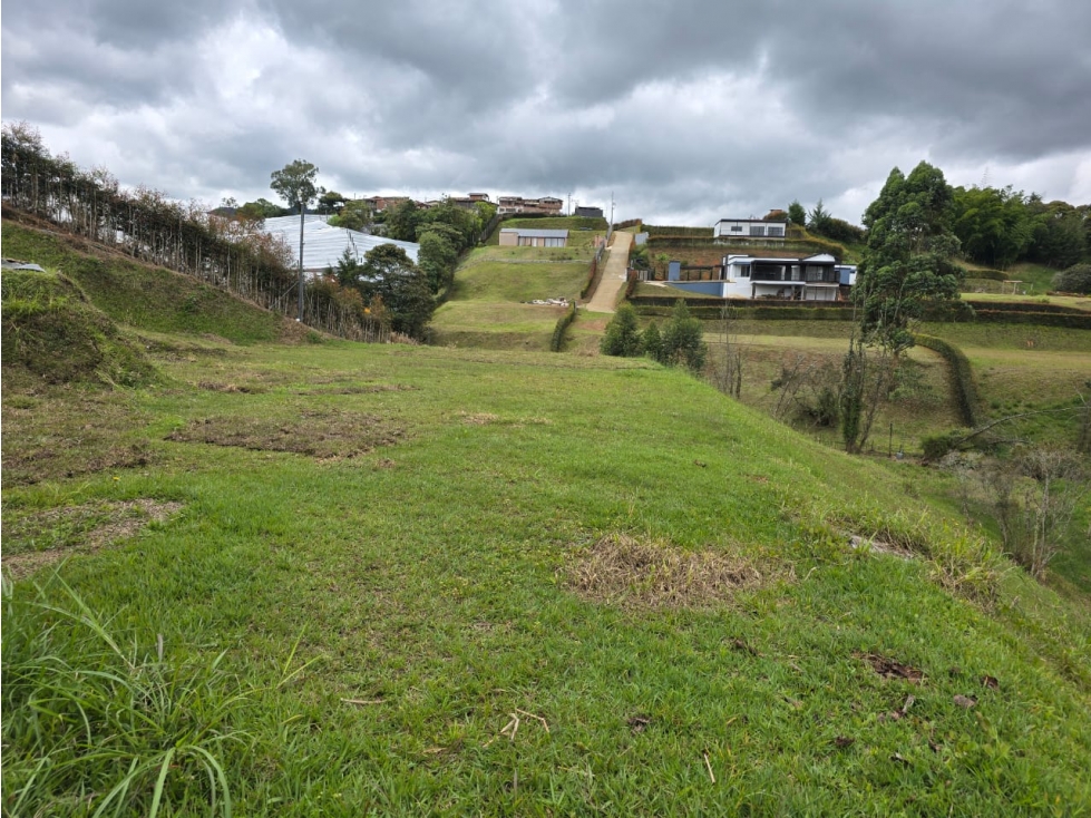 SE VENDE LOTE EN LA CEJA, sector VIA SAN ANTONIO — foto 5