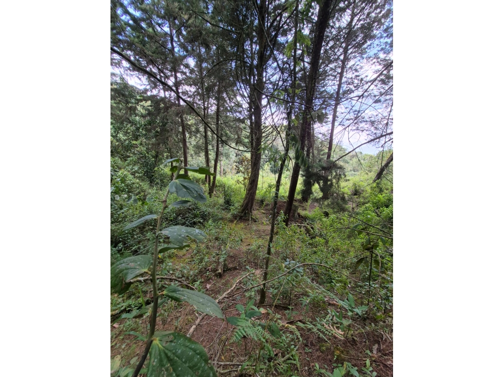 SE VENDE LOTE SAN CRISTOBAL, sector VIA ANTIGUA SANTA FE DE ANTIOQUIA — foto 5