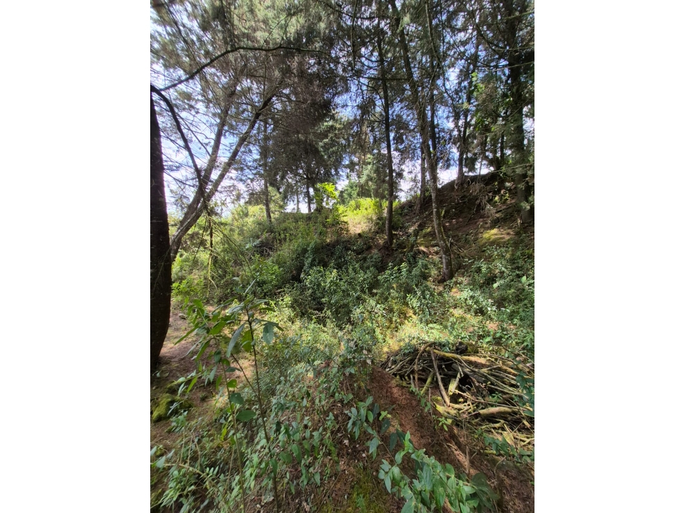 SE VENDE LOTE SAN CRISTOBAL, sector VIA ANTIGUA SANTA FE DE ANTIOQUIA — foto 6