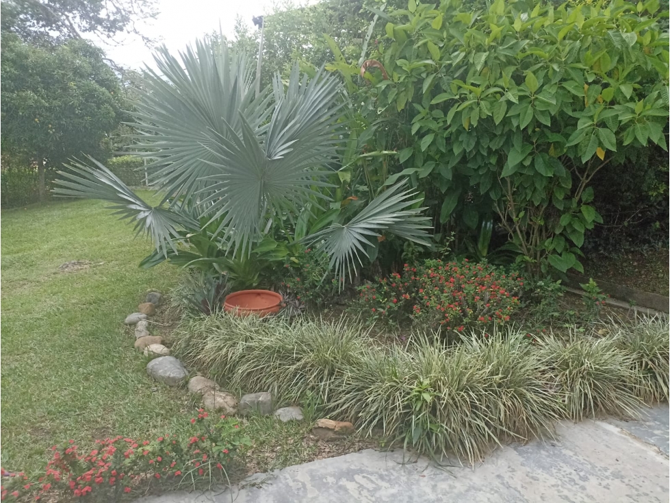 Se VENDE CASA FINCA en SOPETRAN, Vereda LLANO DE LA MONTAÑA. — foto 5