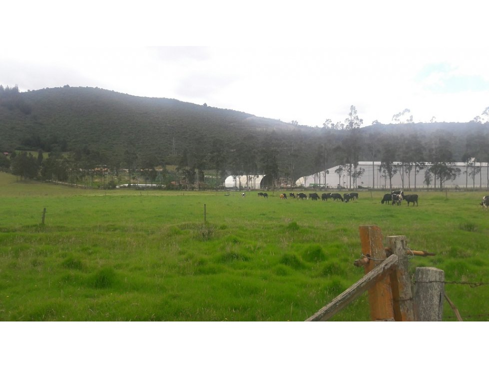 Vendo lote industrial, Gachancipa, Cundinamarca - 2