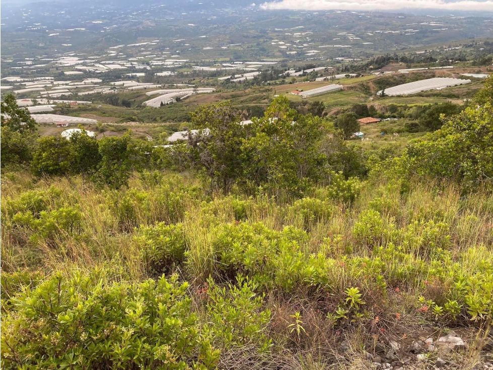 Vendo Lote Villa de Leyva+12.000 ms2+ excelente vista - 1