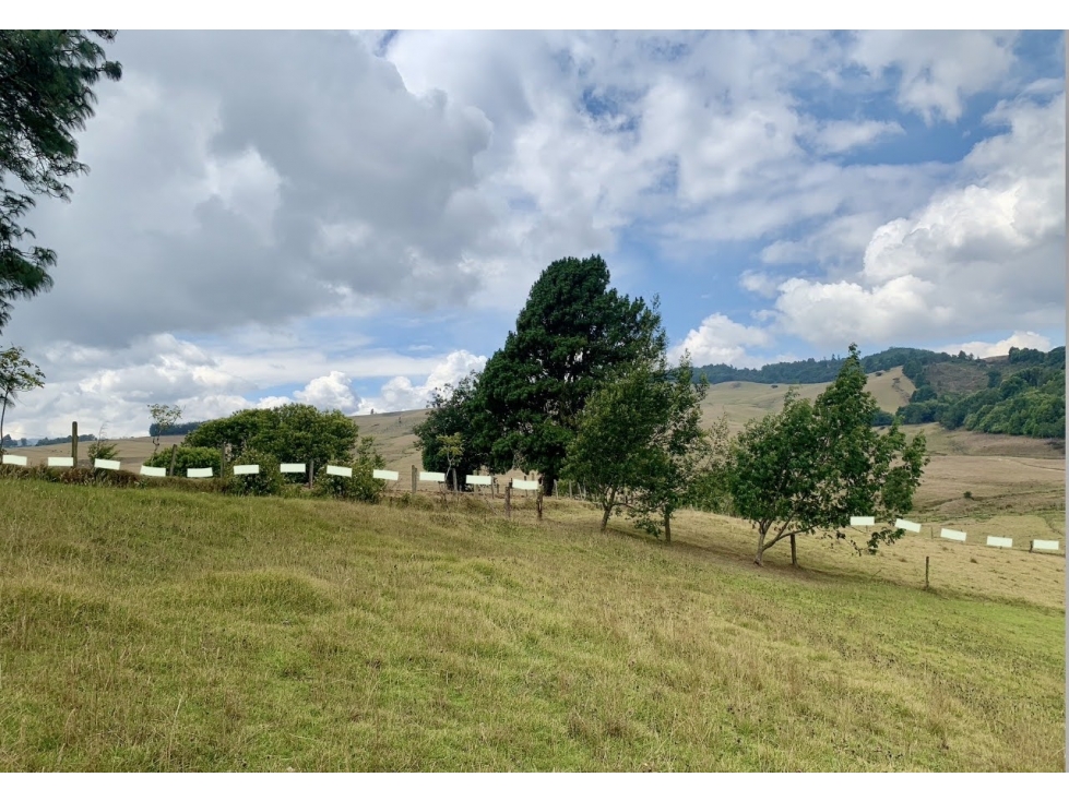 Vendo Finca Sisga-Macheta+area 13 fanegadas(83.200) - 2