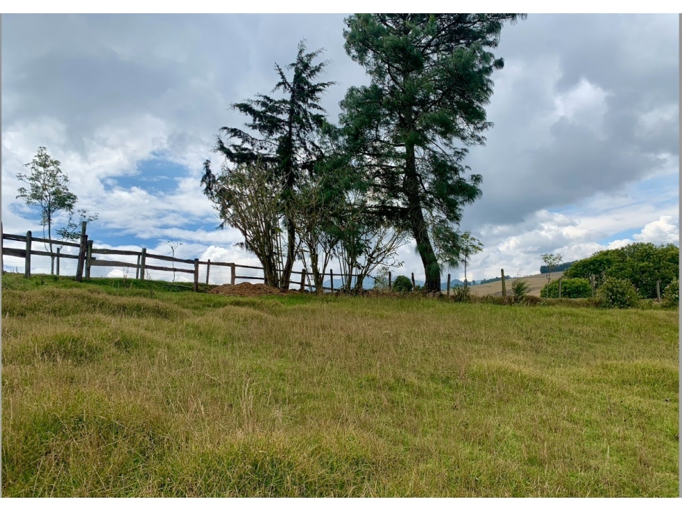 Vendo Finca Sisga-Macheta+area 13 fanegadas(83.200) - 3