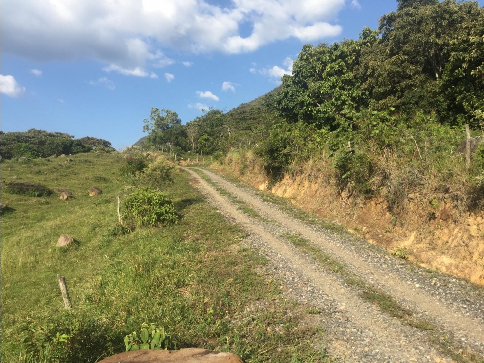 Vendo Finca Guaduas+3 hab+120ms2 - 3