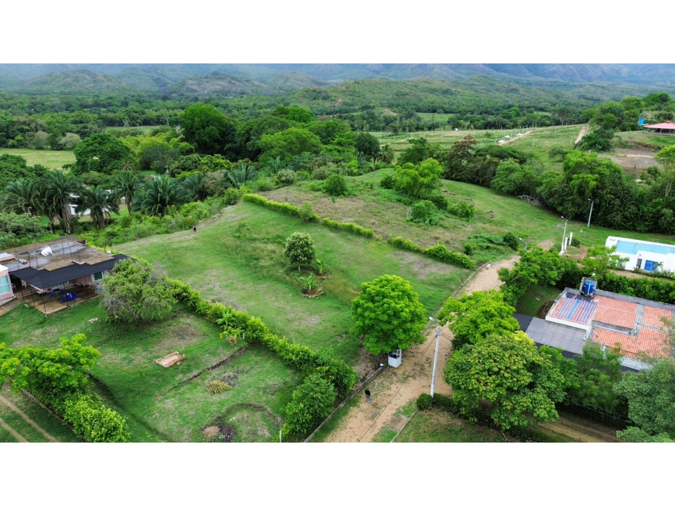 Vendo Lote Carmen de Apicala+884.50 ms2 - 2