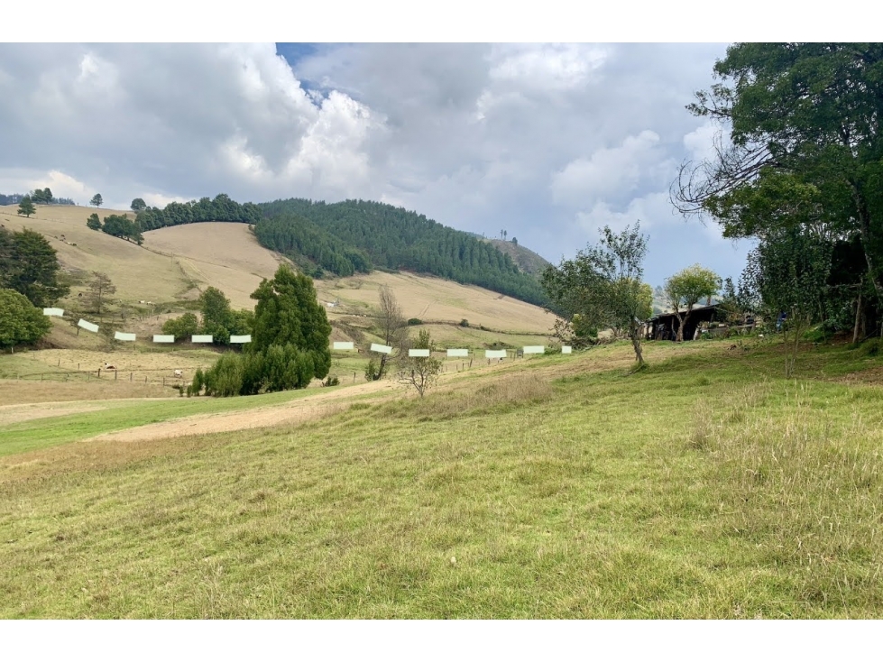 Vendo Finca Sisga-Macheta+area 13 fanegadas(83.200) - 4