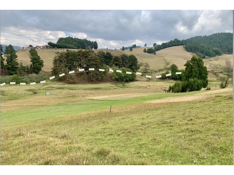 Vendo Finca Sisga-Macheta+area 13 fanegadas(83.200) - 5
