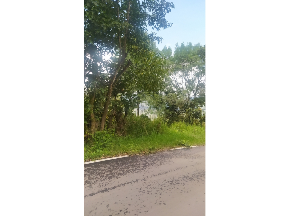 Vendo Lote Anolaima+ area 5 hectareas 50.096 ms2 - 6