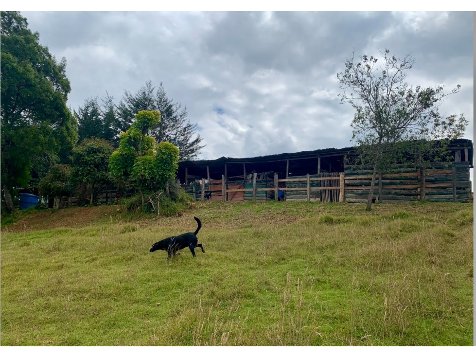 Vendo Finca Sisga-Macheta+area 13 fanegadas(83.200) - 6