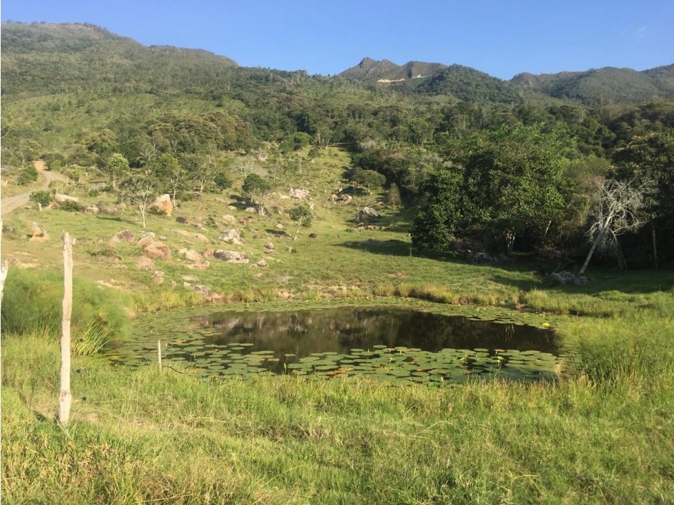 Vendo Finca Guaduas+3 hab+120ms2 - 6