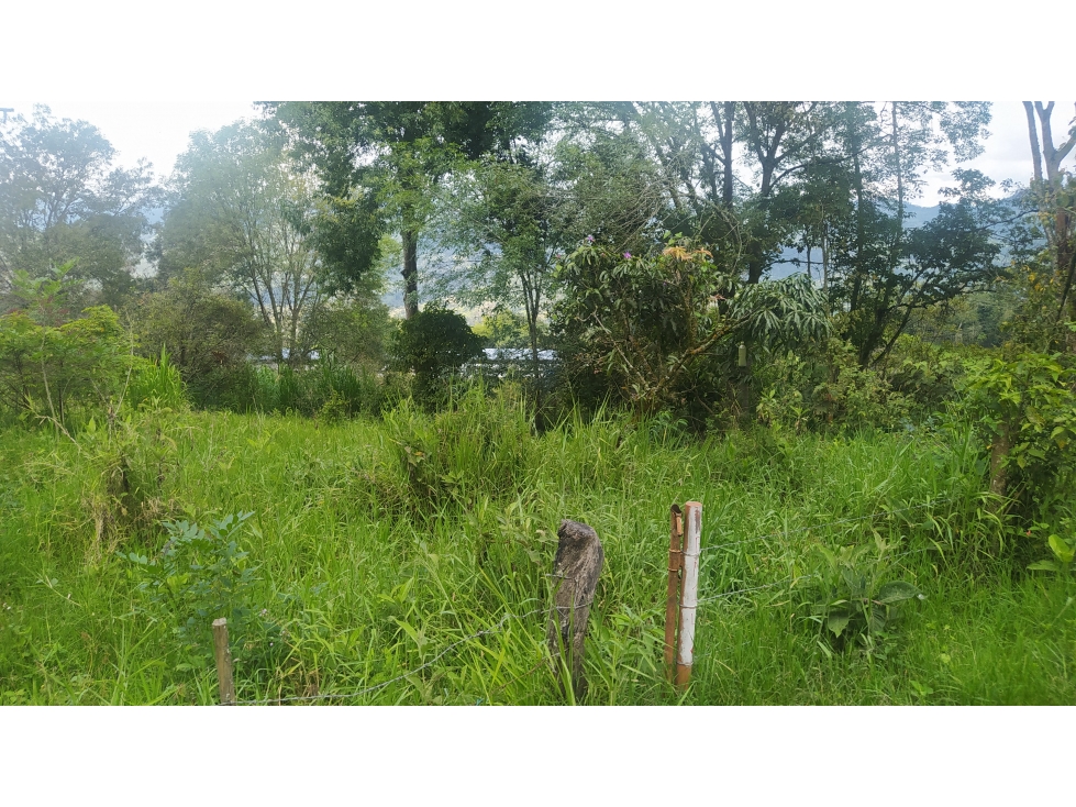 Vendo Lote Anolaima+ area 5 hectareas 50.096 ms2 - 1