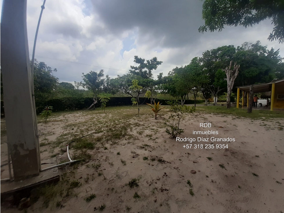 SABANAGRANDE CAÑA FISTULA ATLANTICO VENTA FINCA 5.6 HECTAREAS - 3