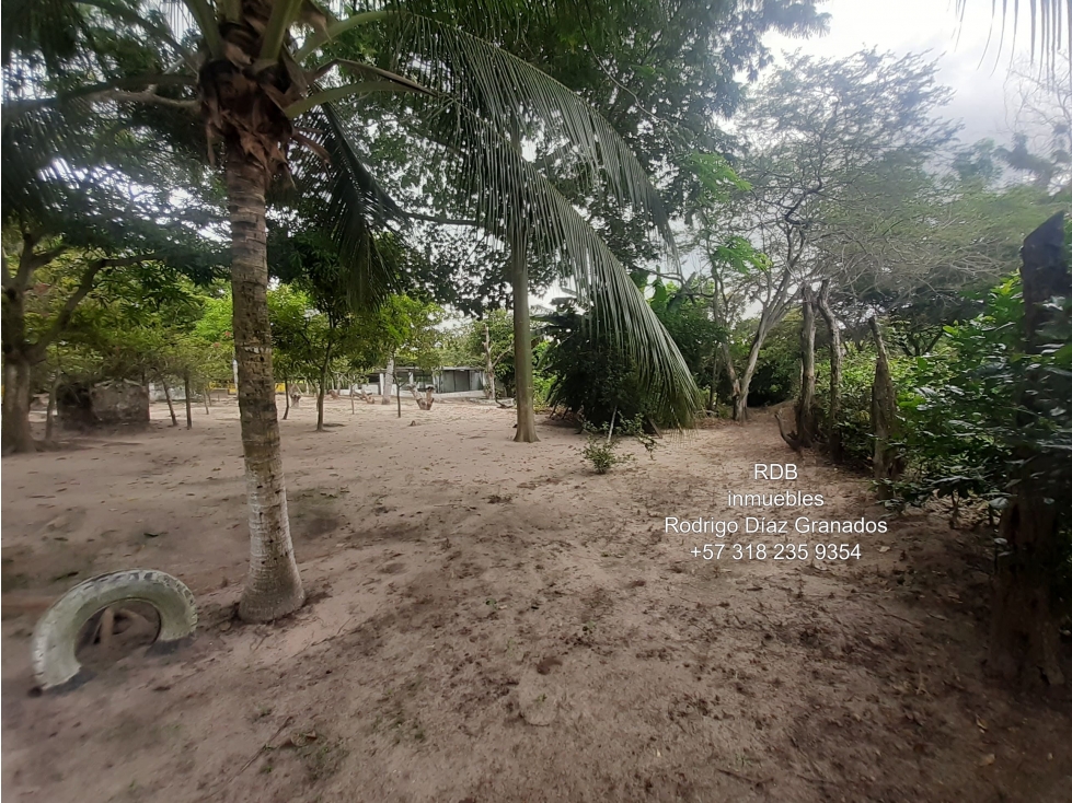 SABANAGRANDE CAÑA FISTULA ATLANTICO VENTA FINCA 5.6 HECTAREAS - 5