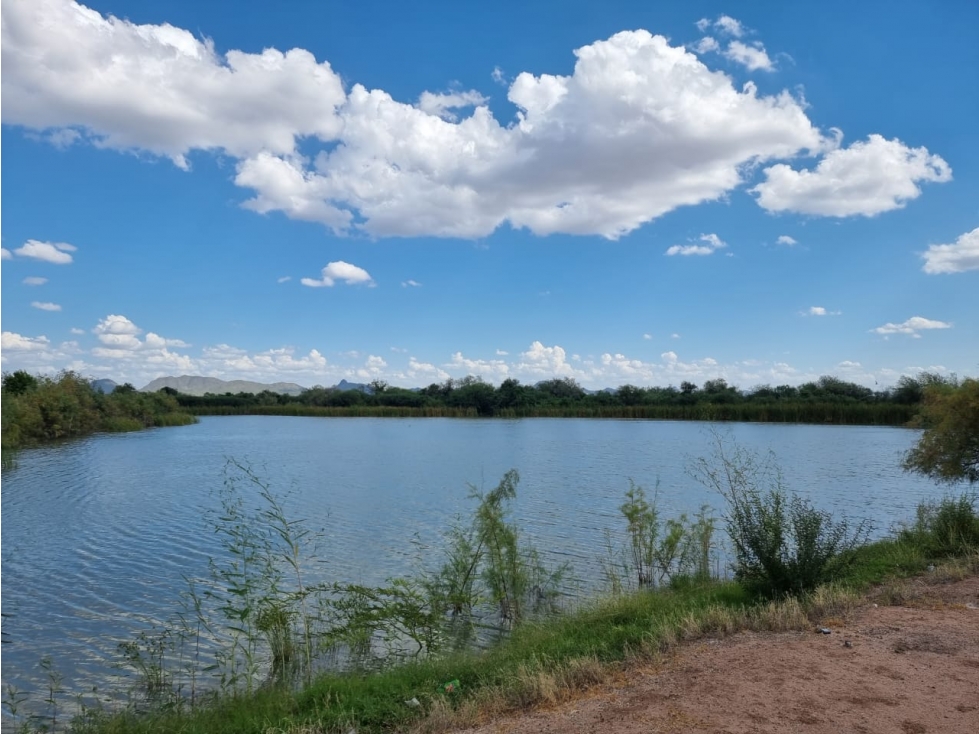 SE VENDE TERRENO CAMPESTRE EN LA HERRADURA — foto 3