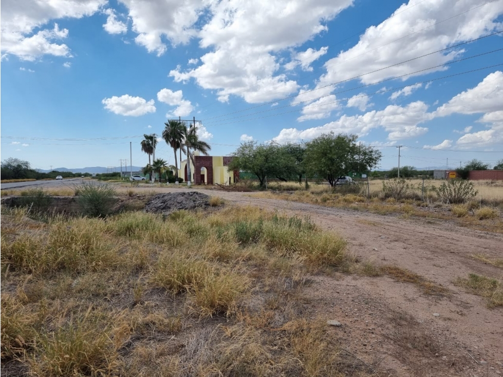 SE VENDE TERRENO CAMPESTRE EN LA HERRADURA — foto 4