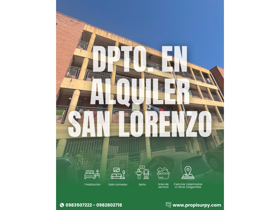 DEPARTAMENTO DE 1 HAB EN SAN LORENZO - 1