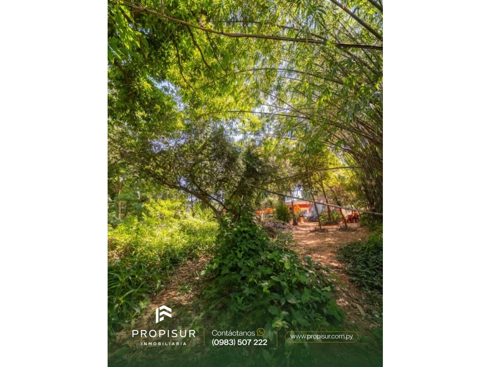 TERRENO EN VENTA ÑEMBY - 2
