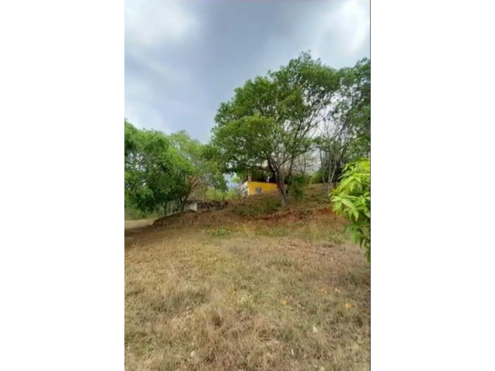 OPORTUNIDAD FINCA EN BONDA MAGDALENA — foto 2